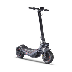 ONE-X E-SCOOTER (500W X 2 Double Motor)